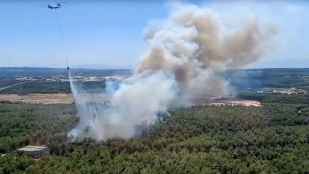 İzmir Buca&rsquo;da orman yangını &ccedil;ıktı
