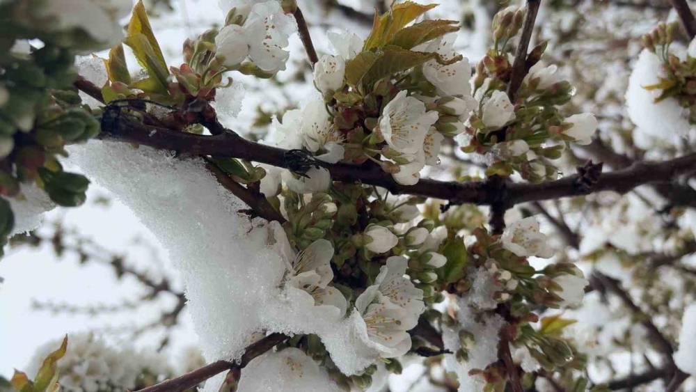 K&uuml;tahya&rsquo;da Mayıs ayında kar s&uuml;rprizi
