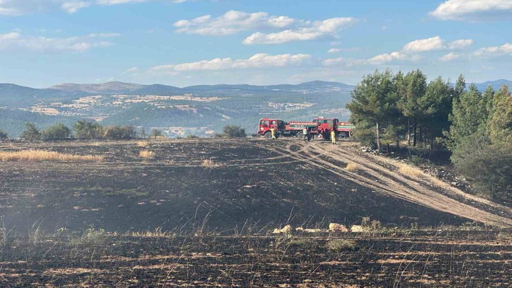 Uşak&rsquo;ta ormanlık alana sı&ccedil;rayan yangın s&ouml;nd&uuml;r&uuml;ld&uuml;

