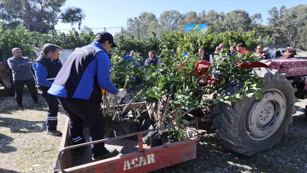 Zirai dondan zarar g&ouml;ren &uuml;reticilere fidan desteği
