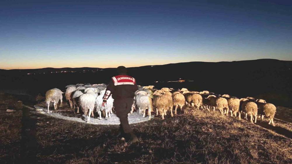 K&uuml;tahya&rsquo;da kaybolan hayvanları jandarma dronla buldu

