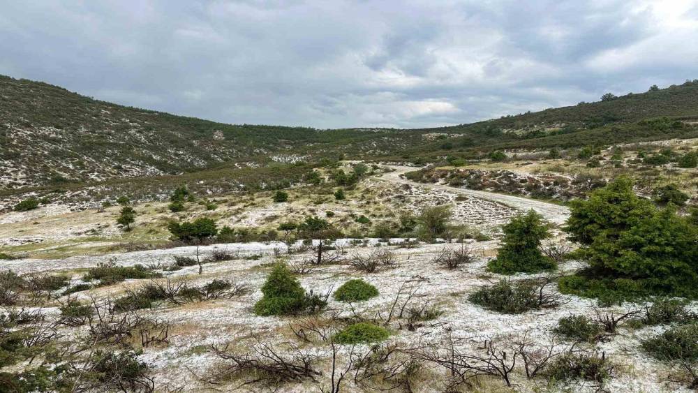 Uşak&rsquo;ın y&uuml;ksek kesimlerinde dolu yağışı etkili oldu
