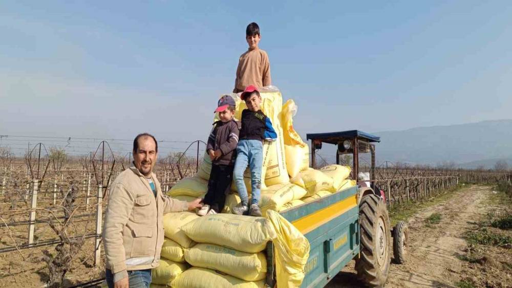 Sarıg&ouml;l bağlarında g&uuml;breleme &ccedil;alışmaları başladı
