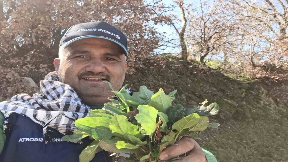Sarıg&ouml;l&rsquo;de baharın habercisi ekşi kulak tezgahlarda yerini aldı
