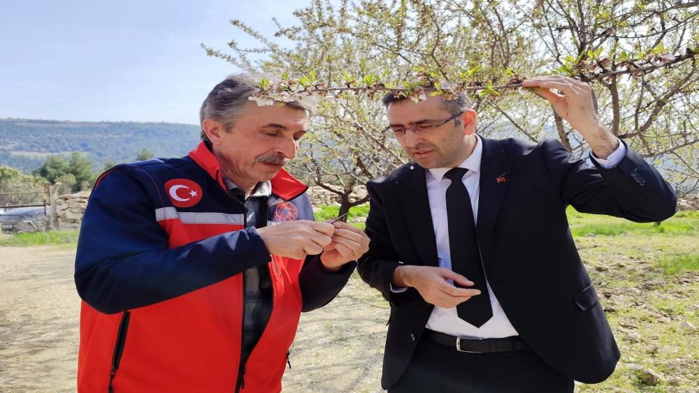Uşak İl Tarım ve Orman M&uuml;d&uuml;rl&uuml;ğ&uuml; ekipleri &uuml;reticiyle bir araya geldi
