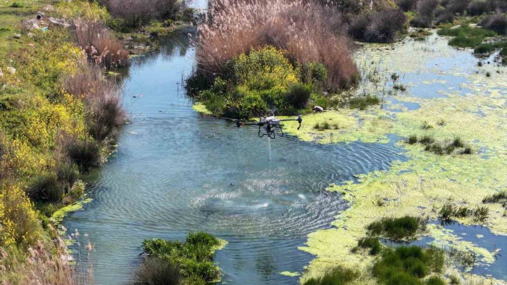 Manisa&rsquo;da sivrisinek alarmı
