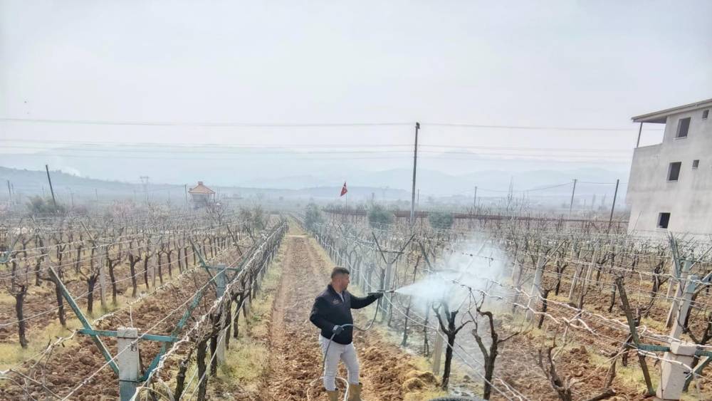 Sarıg&ouml;l&rsquo;de &ouml;l&uuml; kol hastalığıyla m&uuml;cadele başladı
