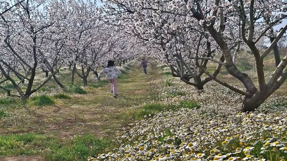 Sarıg&ouml;l&rsquo;de kartpostallık manzara
