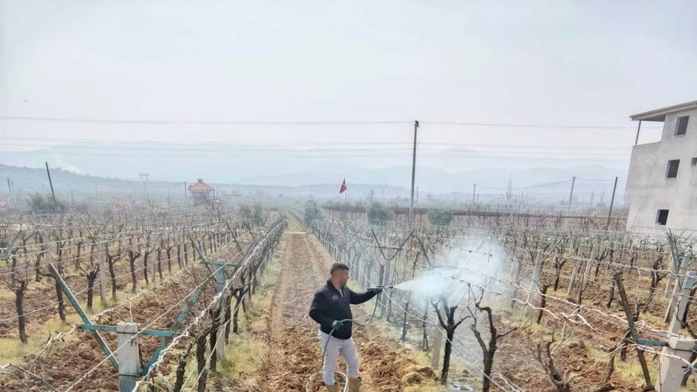 Bağlarda &ccedil;i&ccedil;ek &ouml;ncesi ila&ccedil;lama programı a&ccedil;ıklandı
