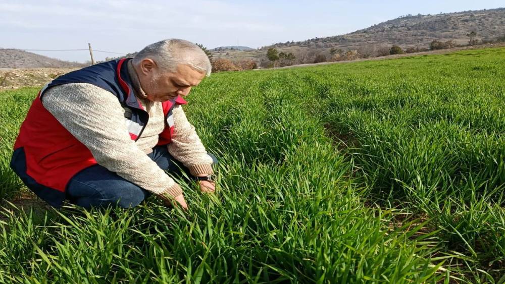 Simav&rsquo;da tarımsal &ccedil;alışmalar s&uuml;r&uuml;yor
