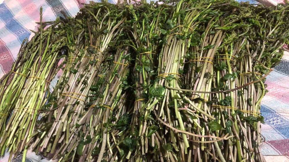 Sarıg&ouml;l&rsquo;de yaban otları paraya d&ouml;n&uuml;şt&uuml;
