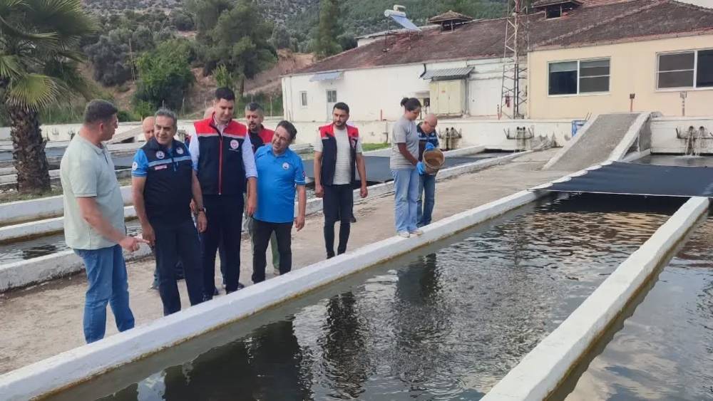 Bozdoğan&rsquo;da su &uuml;r&uuml;nleri &uuml;retimi 3 bin 696 tona ulaştı
