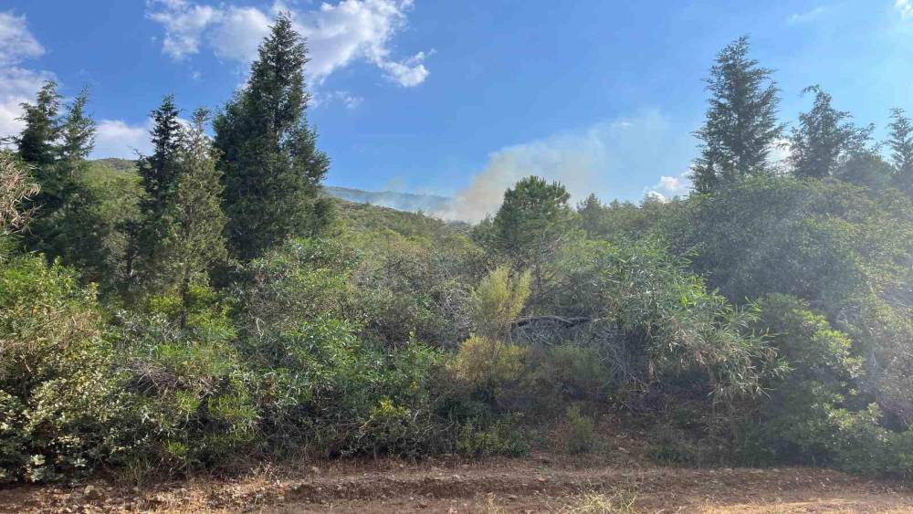 Marmaris&rsquo;te yıldırım kaynaklı orman yangını
