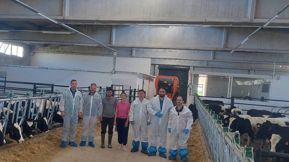 Hisarcık&rsquo;ta ilk hastalıktan ari b&uuml;y&uuml;kbaş işletmesi i&ccedil;in &ouml;nemli adım

