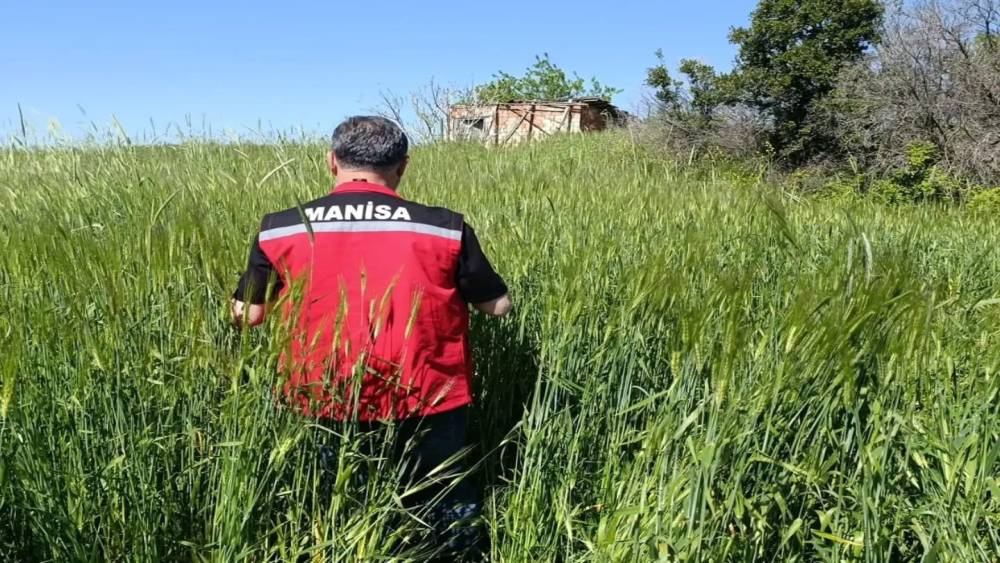 Sarıg&ouml;l&rsquo;de huhubatta verim i&ccedil;in ekipler sahada
