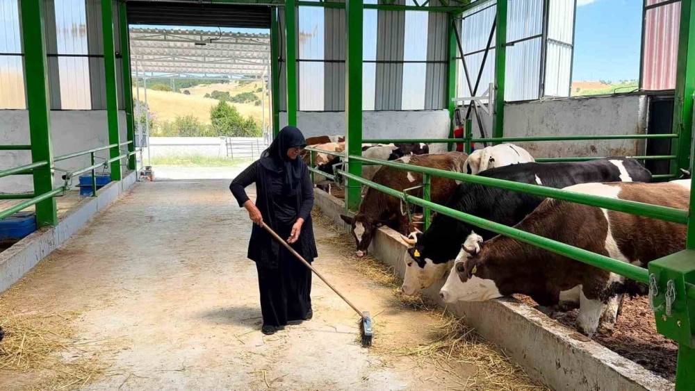 Gediz&rsquo;de 12 milyon TL&rsquo;lik b&uuml;y&uuml;kbaş besi işletmesi faaliyete ge&ccedil;ti
