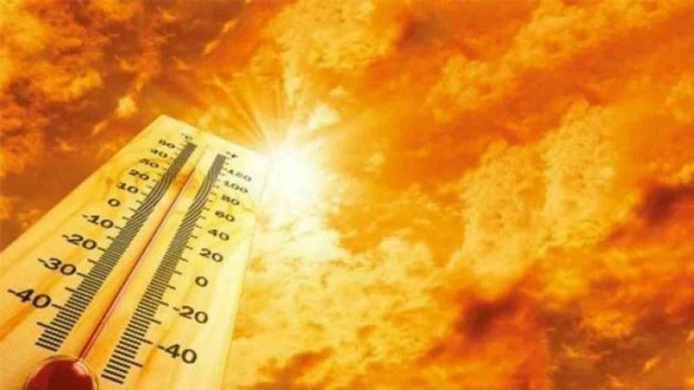 Meteoroloji&rsquo;den Muğla&rsquo;ya orman yangını risk uyarısı
