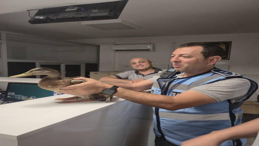 Trafiği durdurup &ouml;rdeği kurtardılar
