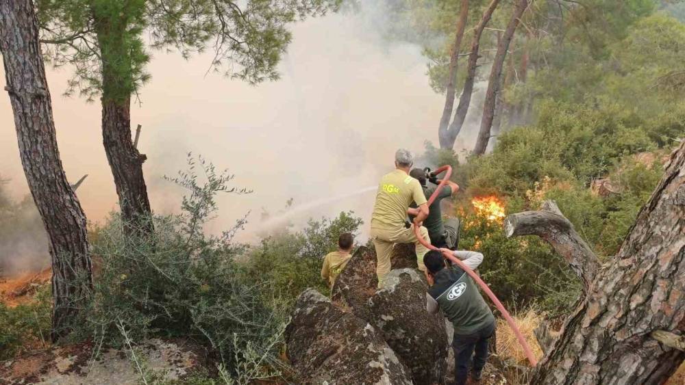 &Ccedil;ine yangınına m&uuml;dahale ikinci g&uuml;nde s&uuml;r&uuml;yor
