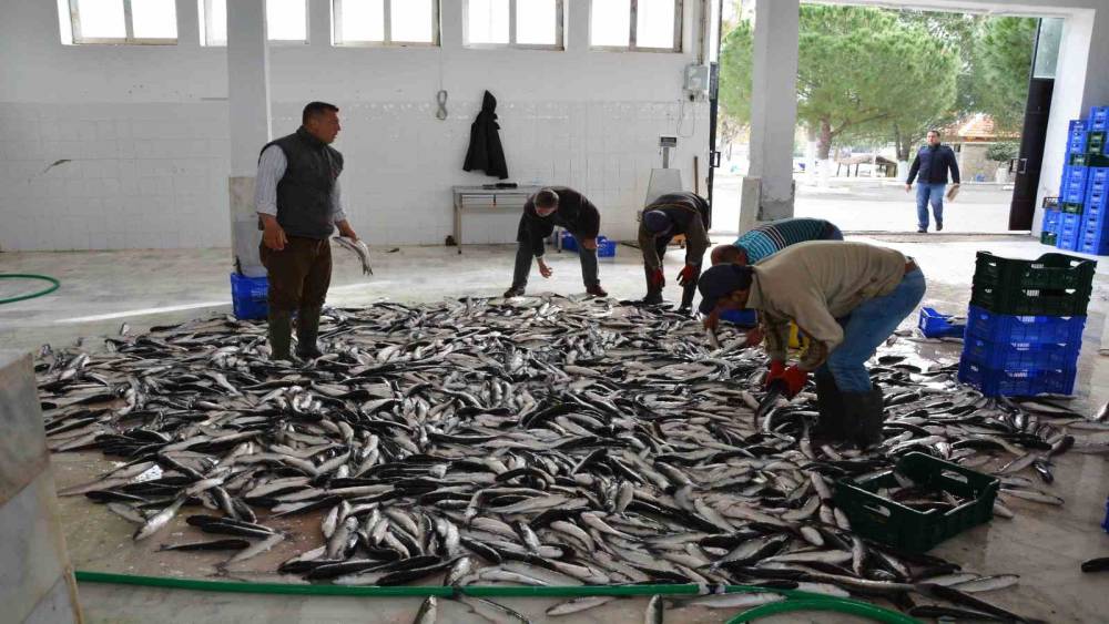 Muğla&rsquo;nın Haziran ayı ihracatı 125,9 milyon dolar
