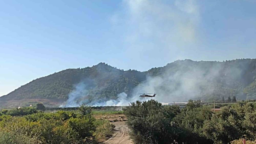 Dalaman&rsquo;da tarım alanındaki yangın kısa s&uuml;rede s&ouml;nd&uuml;r&uuml;ld&uuml;
